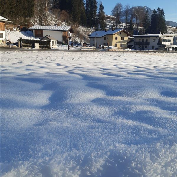 WhatsApp Image 2026-01-23 at 15.55.34