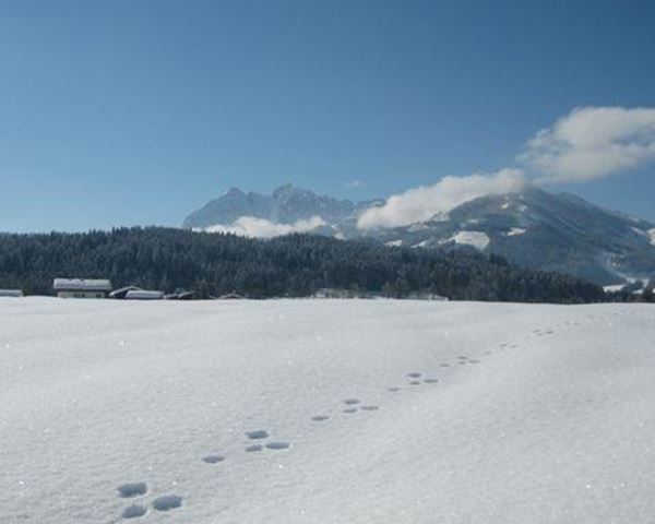 Wilder Kaiser und Loipe vor dem Haus