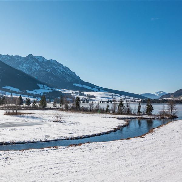 Winter Landschaft