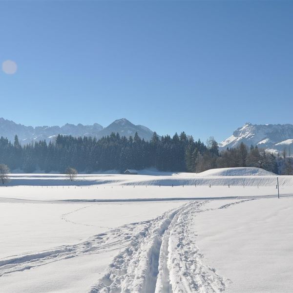 Winterlandschaft Wilde und Zahme Kaiser