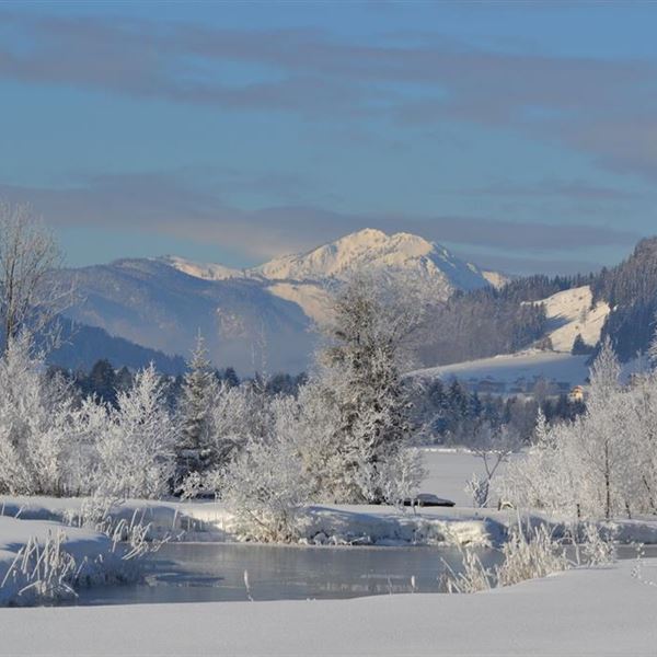 Winterpanorama