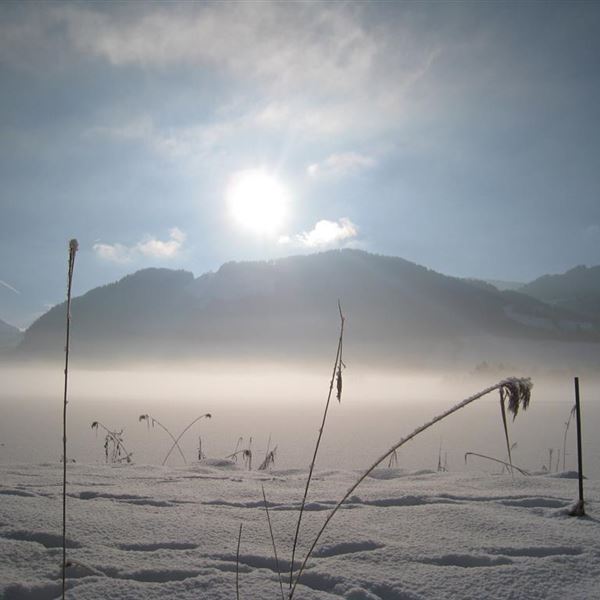 Winterstimmung im Kaiserwinkl