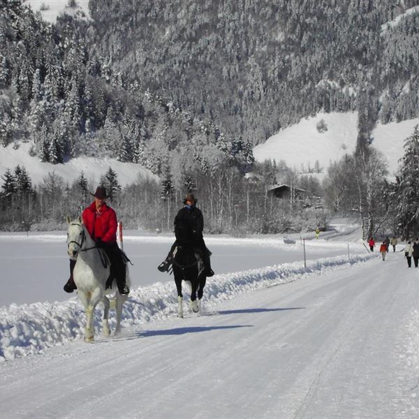 Winterwandern oder Reiten