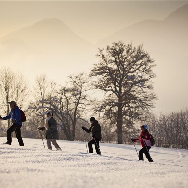 Winterwandung, Skitouren, Schneeschuhwandern