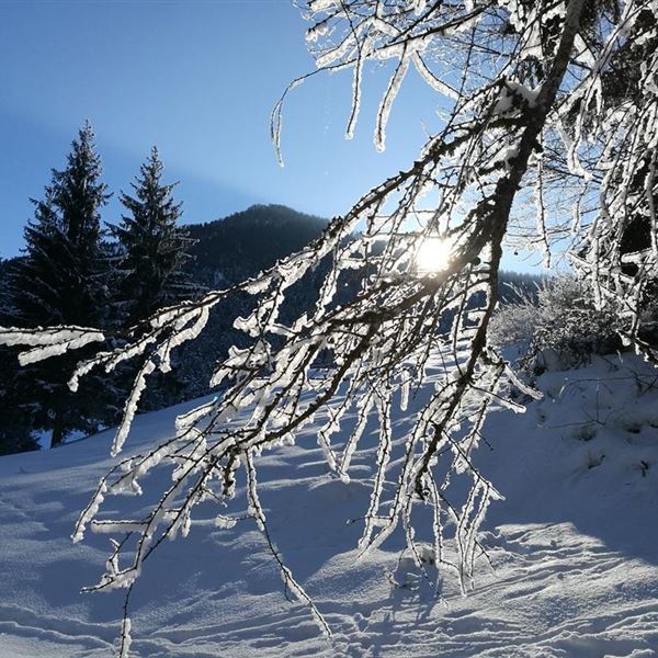 Winterwunderland in Walchsee