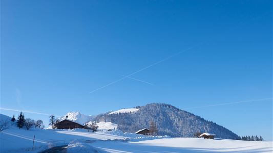 Appartementhaus Holzenhof