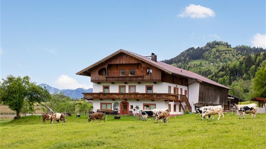 Marschbachhof Panorama