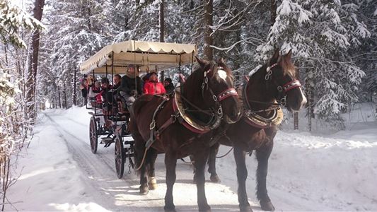 Aparthotel Reitanlage Dagnhof