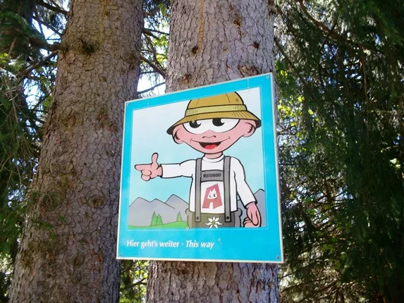 Umgebung: Alpinolino Holzwurmweg