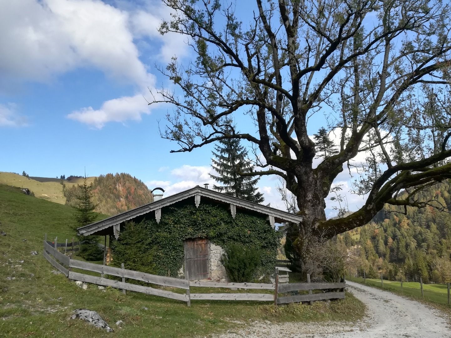 Gwirchtalm - Hageralm