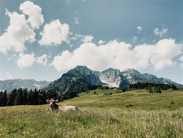 Kaiserwinkl_Bergbahnen Zahmer Kaiser_Kaisergebirge