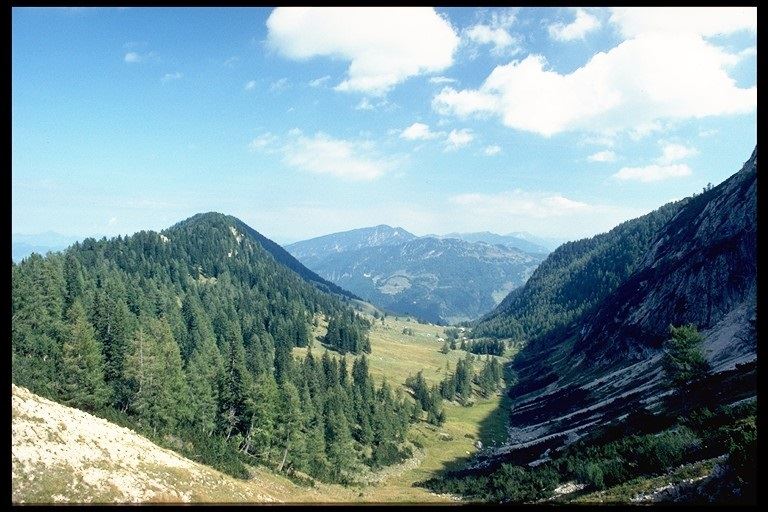 Kohlalm.jpg