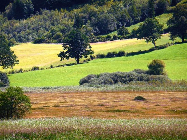 Naturschutzgebiet Moorlandschaft Schwemm