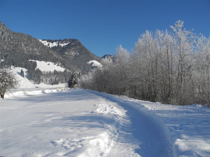 Ramsbachrunde Winterwandern Walchsee.JPG