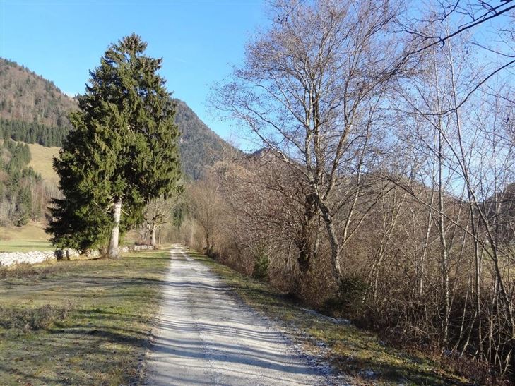 Ramsbachrunde.jpg