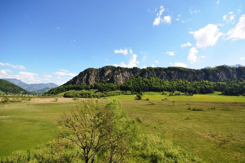 Sommer Hochmoorgebiet Schwemm