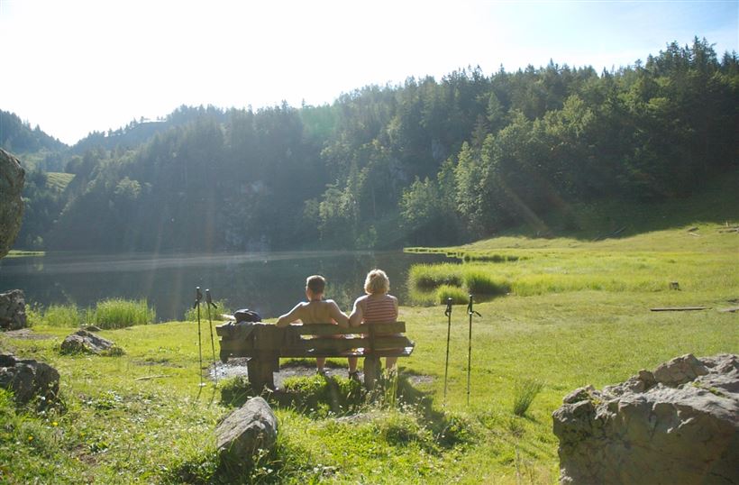 taubensee_022.jpg