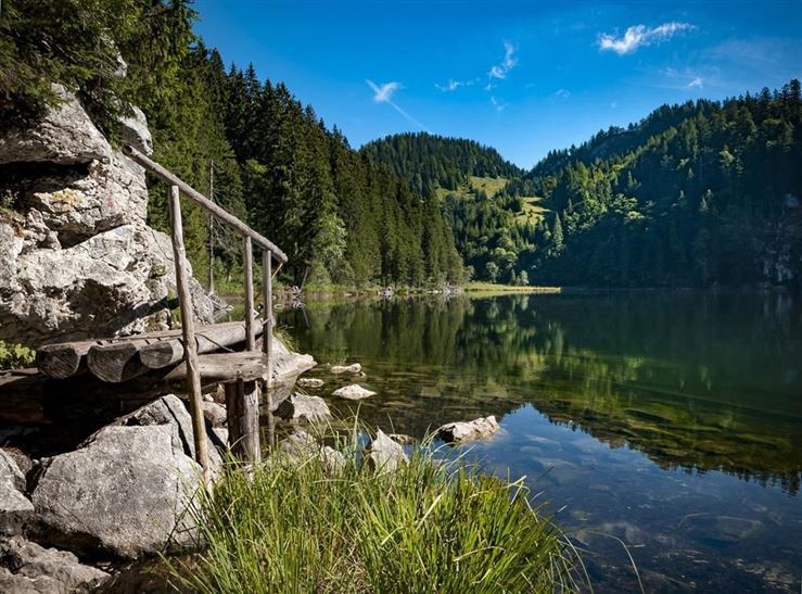 Taubensee