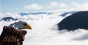 Alpinolino-Himmelsteig in Westendorf_Kitzbüheler Alpen_Matthäus Gartner0112.jpg