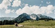 Kaiserwinkl_Bergbahnen Zahmer Kaiser_Kaisergebirge