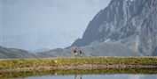 Maier_Etappe_6-33.jpg