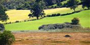 Naturschutzgebiet Moorlandschaft Schwemm