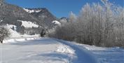 Ramsbachrunde Winterwandern Walchsee.JPG