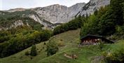 Scheffau_Kletterzustieg_Wegscheid-Hochalm_Wilder Kaiser