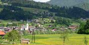 Staffnerhof Blick auf Kössen