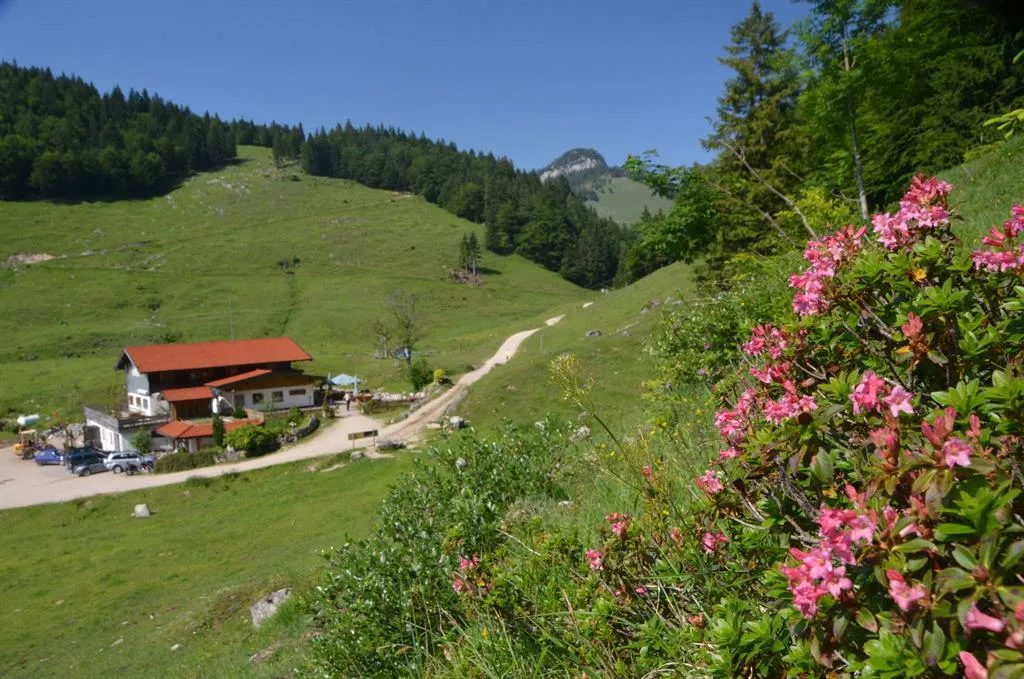 Walchsee - Riederalm - Ottenalm