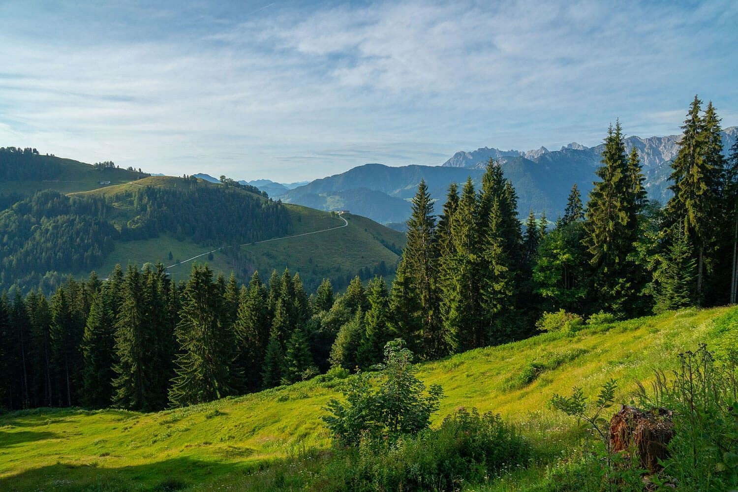 Rettenschöss Feistenau - Wandberghütte/Burgeralm