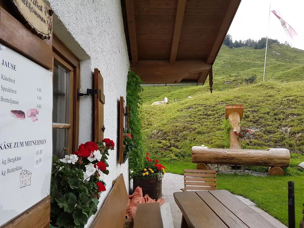 Kohlental - Stubenalm - Schnappenstein