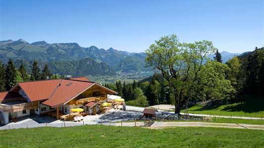 Berggasthof Zahmer Kaiser - Aschingeralm - Nr. 45, 49