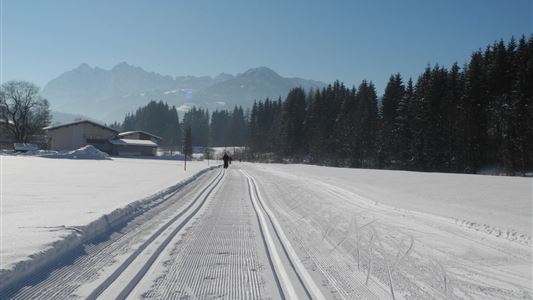 Hochauloipe 9 km - Nr. 2