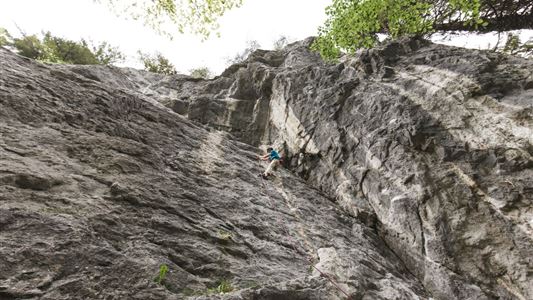 Umgebung: Klettergarten Morsbach