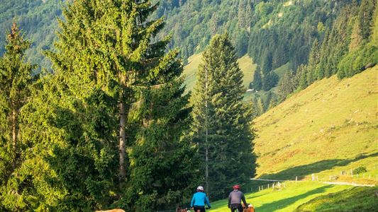 Habersau - Gwirchtalm