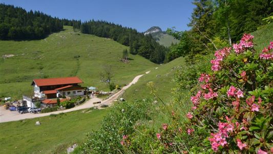 Walchsee - Riederalm -Ottenalm