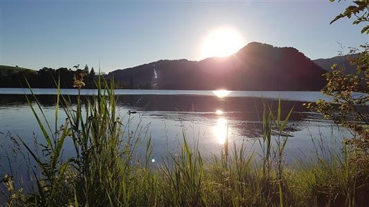 Kössen - Bichlach - Walchsee - Nr. 11