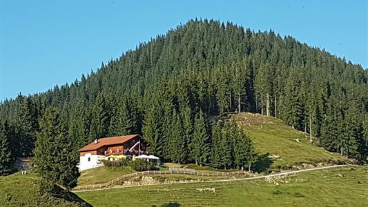Schöne Aussicht- Wildbichlam - Wandberg - Nr. 14b, 14