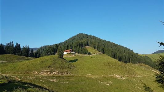 über die Almen von Walchsee nach Kössen - Nr. 54, 47a, 3, 14, 8, 87,24