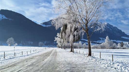 Seerundweg Walchsee 