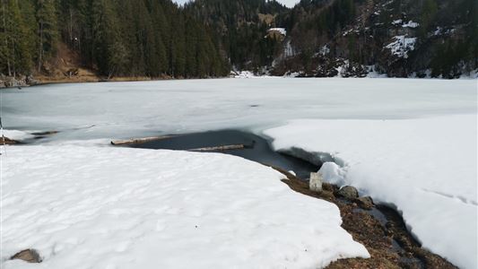 Mühlberghof und Taubenseehütte (Winterwandern)