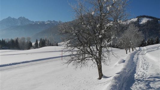 Schwendt - Bichlach