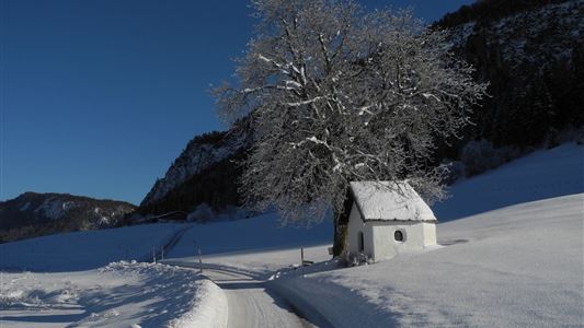 Rund um den Miesberg