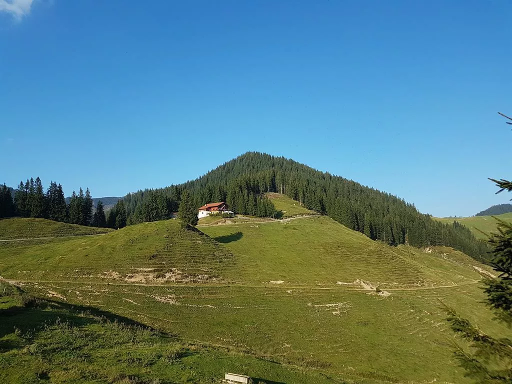 Walchsee - Priener Hütte - Breitenstein - Karkopf - Kössen