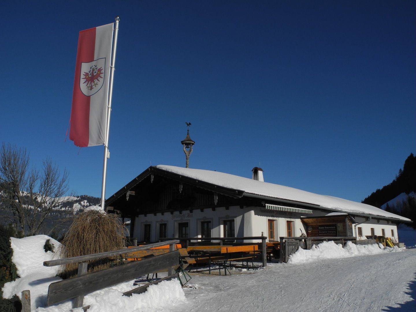Rettenschöss - Wildbichlalm